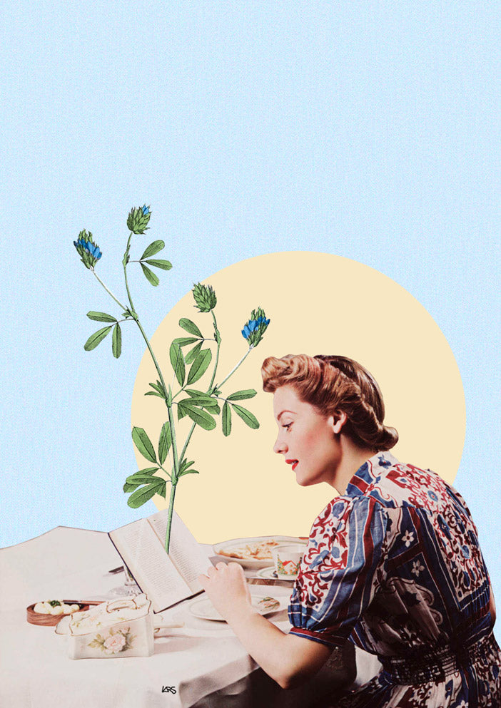 Lectora