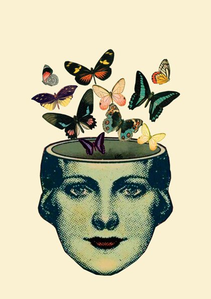Fly Mind